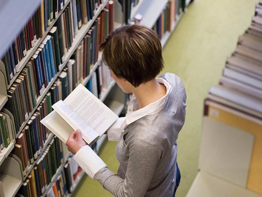 Reading the Western Literary Canon in Context