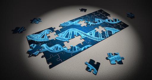 Do Races Exist? A Genetic Perspective
